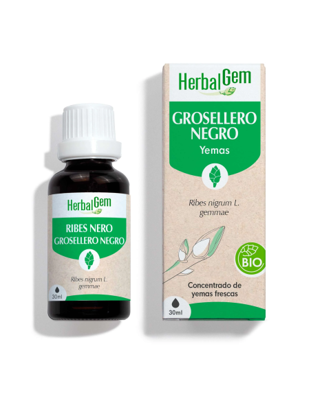 Grosellero Negro Bio 30 Ml de Herbalgem