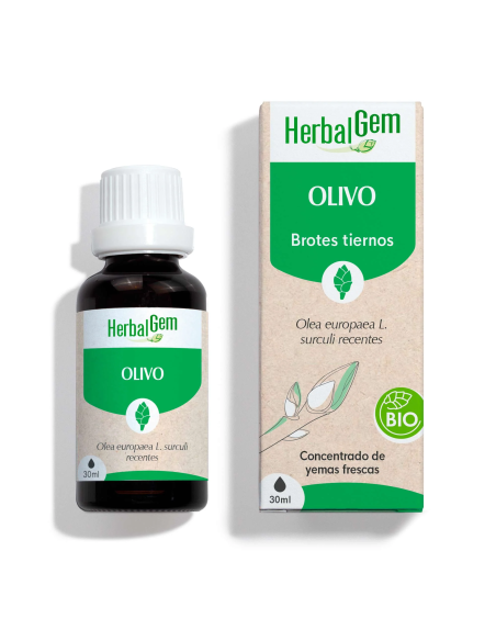 Olivo Bio 30 Ml de Herbalgem