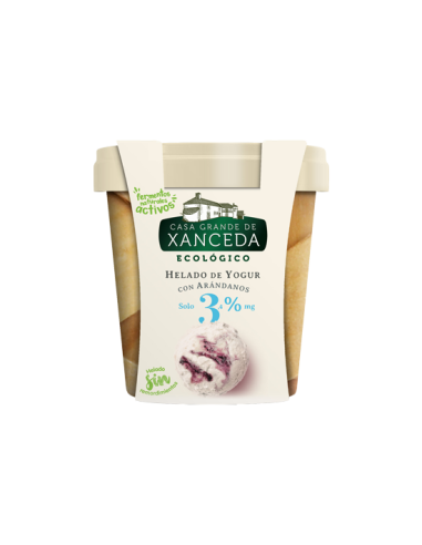Helado Yogur Arándanos Bio 500 ml | Casa Xanceda Natural