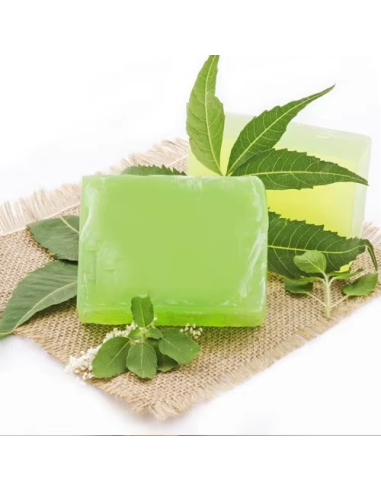Jabón Ayurvédico Neem 75g Ecodis  Cuidado Natural PENC**