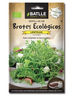 Brotes de lentejas para germinar Batlle | Salud y frescura