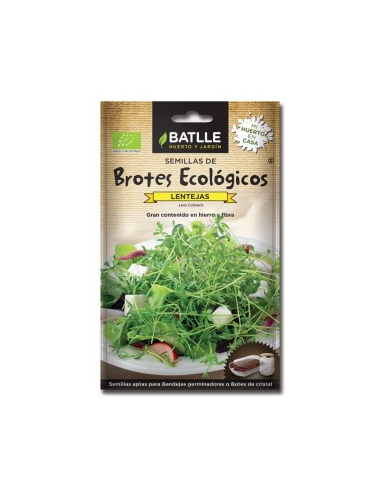 Brotes de lentejas para germinar Batlle | Salud y frescura