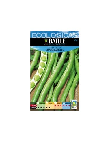 Semillas Haba Superaguadulce Batlle  Calidad y Rendimiento
