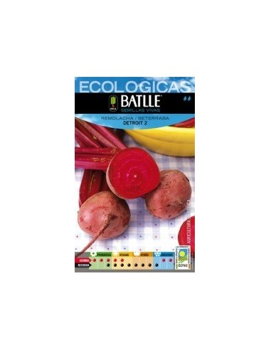 Semillas Remolacha Detroit Batlle | Calidad y Germinación Garantizada
