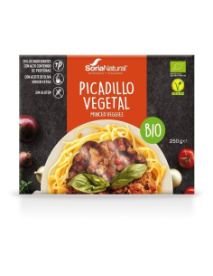 Pack de 2 ud Picadillo Vegetal Bio 250 Grs. de Alecosor Soria Natural