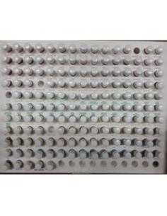 Kit Kinesiologico Terpenic