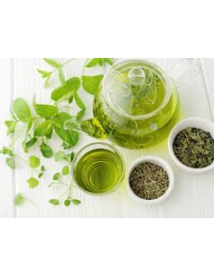 Te Negro Buenos Dias Bote 12 Piram. de Farma Te