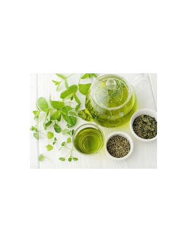 Te Negro Buenos Dias Bote 12 Piram. de Farma Te