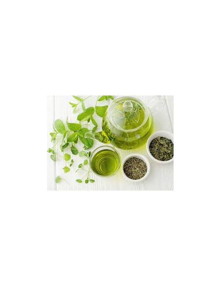 Te Negro Buenos Dias Bote 12 Piram. de Farma Te