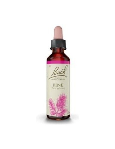 Flores Bach Pine Pino Silvestre 20Ml. de Flores Bach Origina