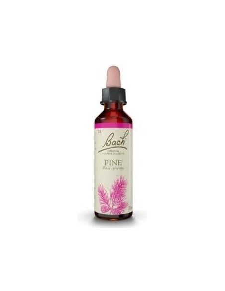 Flores Bach Pine Pino Silvestre 20Ml. de Flores Bach Original