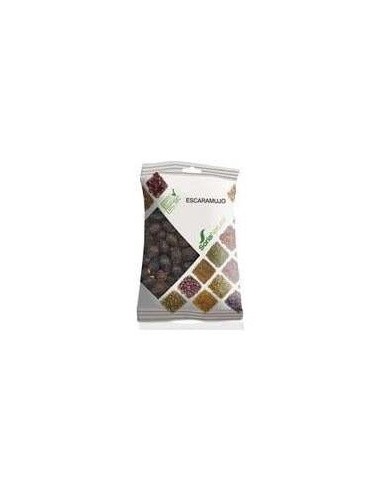 Escaramujo Bolsa 100Gr. de Soria Natural