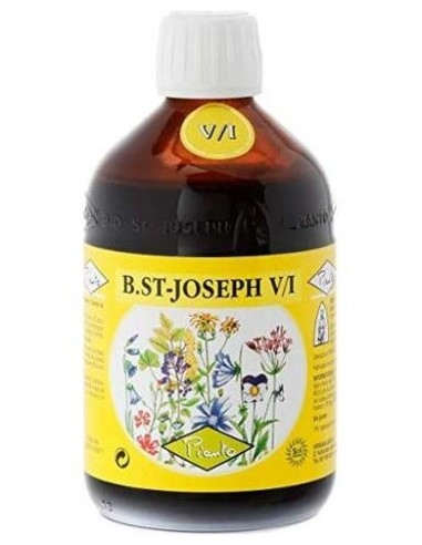 B. St-Joseph ( Vi ) Vitalidad 510 G De Biolasi