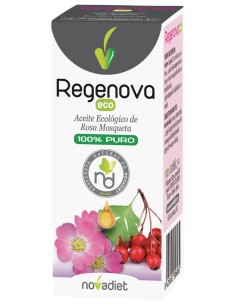 Arnidol Stick-Barra 15 Gr + Hucha Regalo de Arnidol