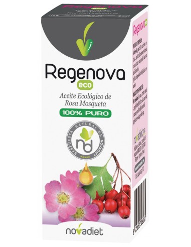 Arnidol Stick-Barra 15 Gr + Hucha Regalo de Arnidol